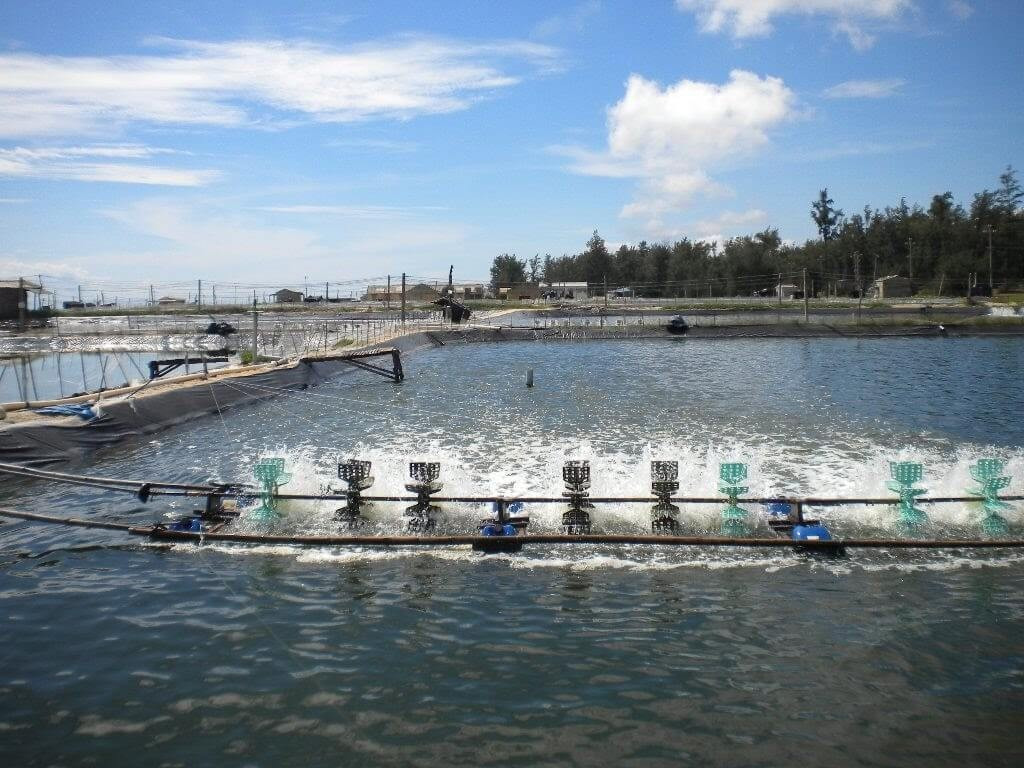Chlorine được dùng để xử lý nước bể bơi, đảm bảo vệ sinh và an toàn