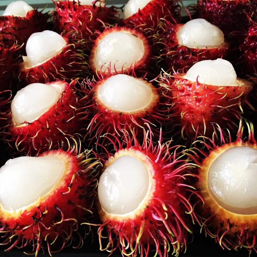 Rambutan, hay chôm chôm, có lớp vỏ ngoài độc đáo với những sợi lông mềm bao phủ