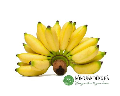 chuoi-tay-trong-vuon-nha Chuối tây tươi ngon
