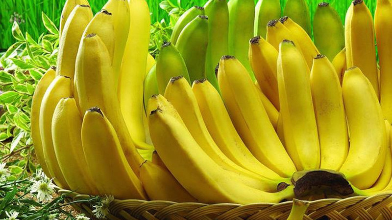 Nải chuối tiêu chín vàng ươm, căng tròn
