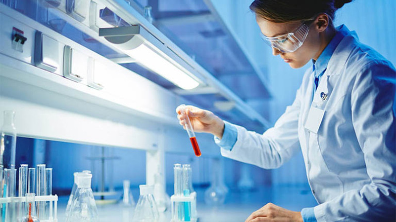 Quy trình thực hiện Clo test