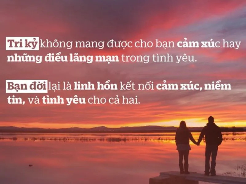 Tri kỷ và bạn đời