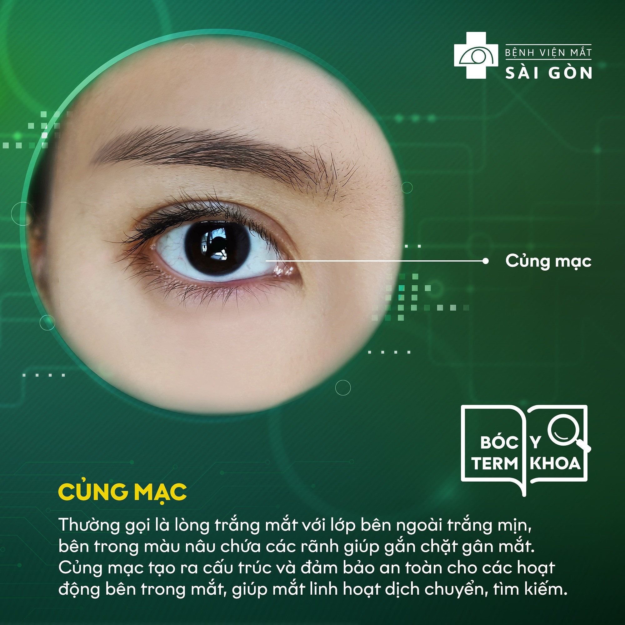 Củng mạc (Sclera) tại Bệnh viện Mắt Sài Gòn giúp bảo vệ đôi mắt của bạn