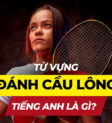 Vận động viên cầu lông đang thực hiện cú đánh trên sân đấu chuyên nghiệp