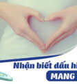 Ảnh minh họa thành phần dinh dưỡng của quả bầu