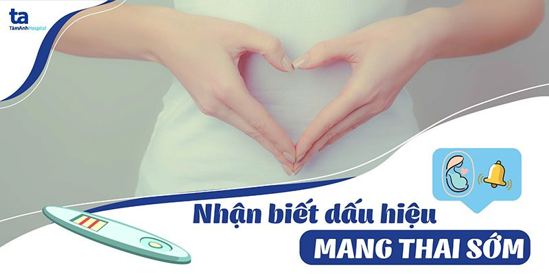 Ảnh minh họa thành phần dinh dưỡng của quả bầu