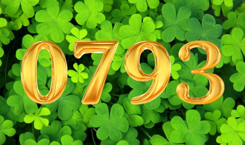 Đầu số 0793 làm hotline: Tại sao nên chọn?