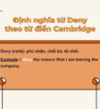 Ý nghĩa của deny là gì