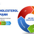 Cholesterol toàn phần bao gồm HDL, LDL và Triglyceride