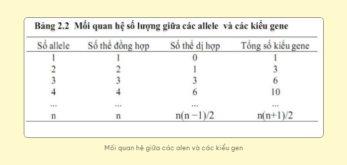Đầu bếp đang nấu ăn