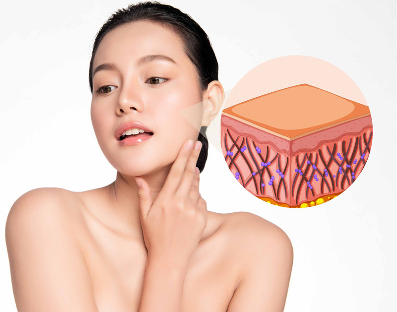 Elastin có tác dụng gì đối với làn da của bạn?