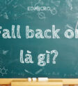 Định nghĩa Fall Back On