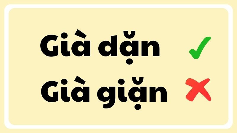 Nguyên liệu tươi ngon là chìa khóa để nấu ăn ngon