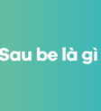Giải đáp sau be là gì? Vị trí của be trong câu