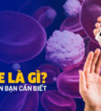 Đường glucose là nguồn năng lượng chính cho cơ thể
