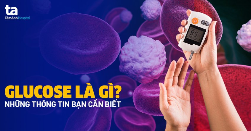 Đường glucose là nguồn năng lượng chính cho cơ thể