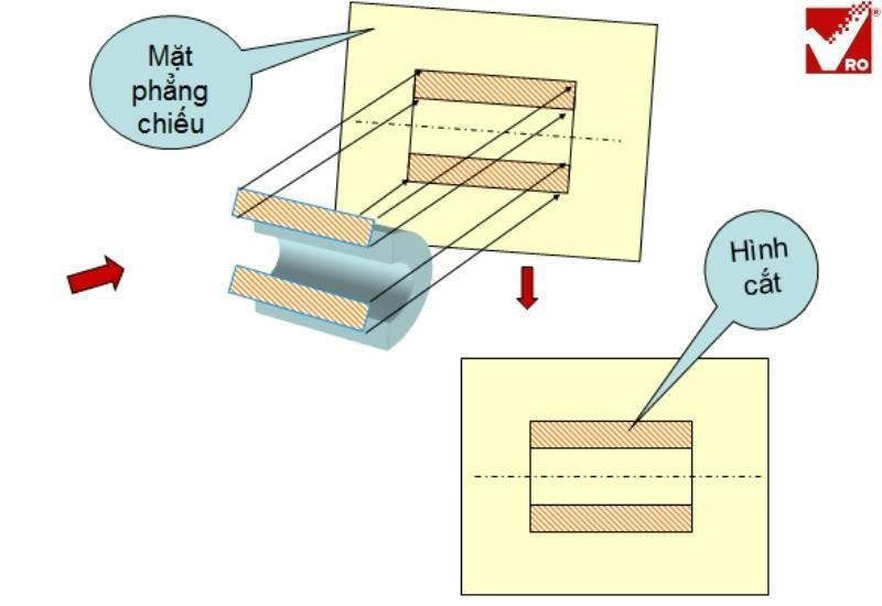 Hình cắt trong ẩm thực