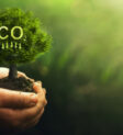 Các giải pháp giảm thiểu khí CO2