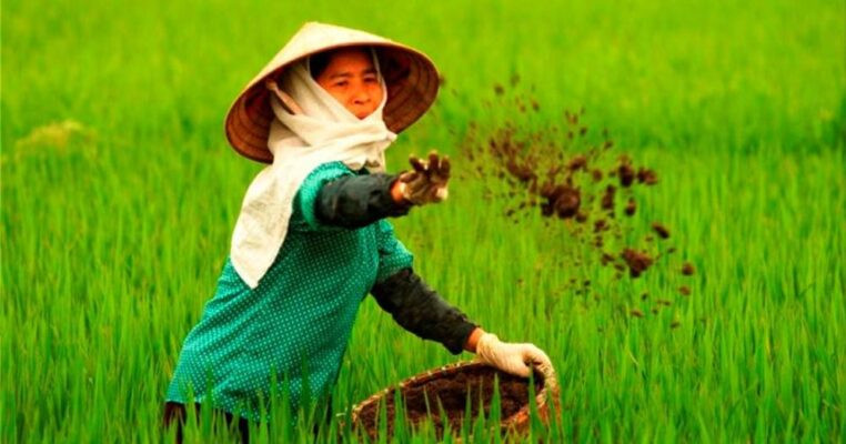 Các cách bón thúc cho cây trồng