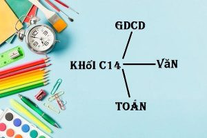 Ảnh minh họa về các môn học thuộc khối C14