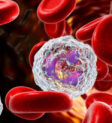 Tế bào bạch cầu Mono (Monocyte) có vai trò quan trọng trong hệ miễn dịch của cơ thể, đặc biệt là khả năng tiêu diệt vi khuẩn và tế bào chết.