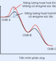 Năng lượng hoạt hóa có sự tham gia xúc tác của enzyme