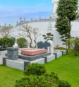 Cây xanh trên mộ