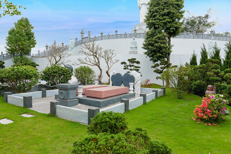 Cây xanh trên mộ