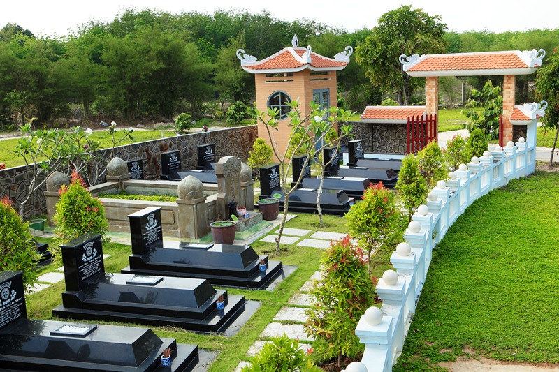 Cây phát tài trên mộ