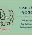 Nam mệnh sinh năm 2030 hợp màu gì