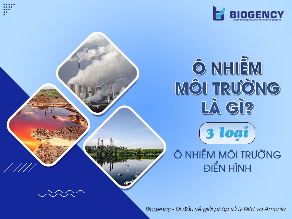 Ô nhiễm môi trường ảnh hưởng trực tiếp đến chất lượng nguyên liệu nấu ăn, làm giảm hương vị và giá trị dinh dưỡng.