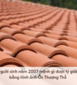 Ốc Thượng Thổ mang ý nghĩa là ngói lợp mái nhà