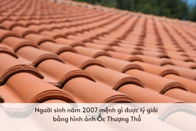 Ốc Thượng Thổ mang ý nghĩa là ngói lợp mái nhà