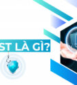 Pentest là gì