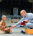 Pháp danh là tên đạo mà người Phật tử nhận được khi quy y Tam Bảo, tượng trưng cho sự gắn kết với Phật pháp.