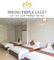 Phòng Triple Là Gì