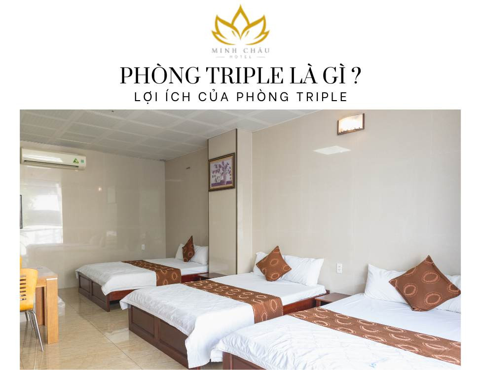 Phòng Triple Là Gì