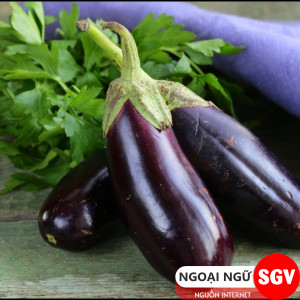 Một đĩa cà tím nướng mỡ hành thơm ngon, hấp dẫn.