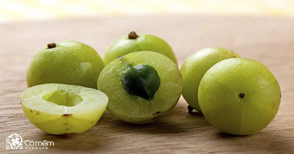 Lưu ý khi sử dụng mắc kham