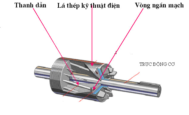 Cấu tạo của Rotor