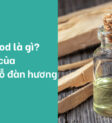 Khai thác gỗ đàn hương