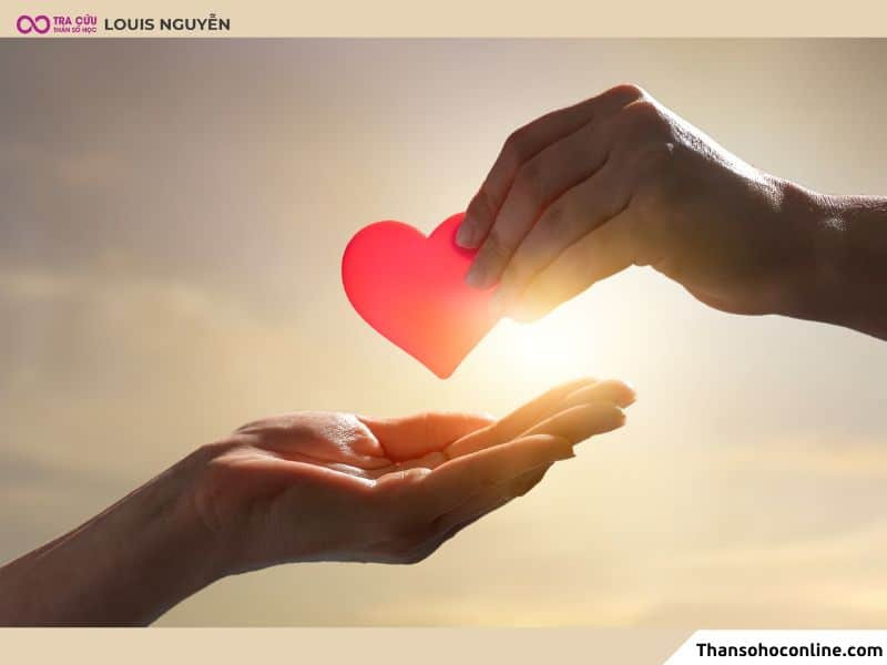 Trái cây tươi - Món ăn tráng miệng thanh mát, bổ dưỡng