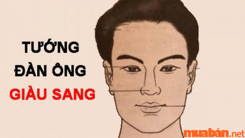 Hình ảnh minh họa người có tướng mạo phúc hậu, cân đối, dễ tạo thiện cảm, liên quan đến sao Thiên Tướng