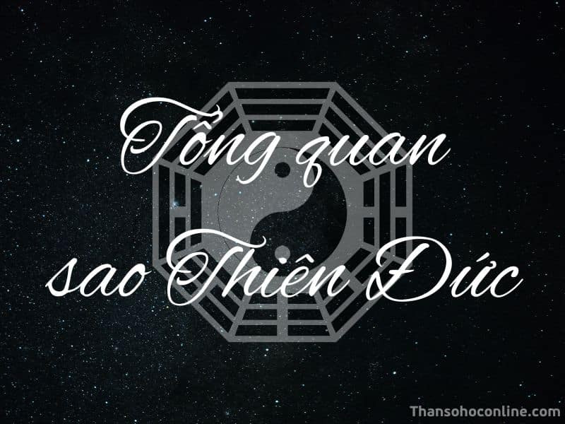 Gỏi cuốn chay - Món ăn thanh đạm, tốt cho sức khỏe