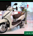 Scooter là lựa chọn hoàn hảo cho phụ nữ