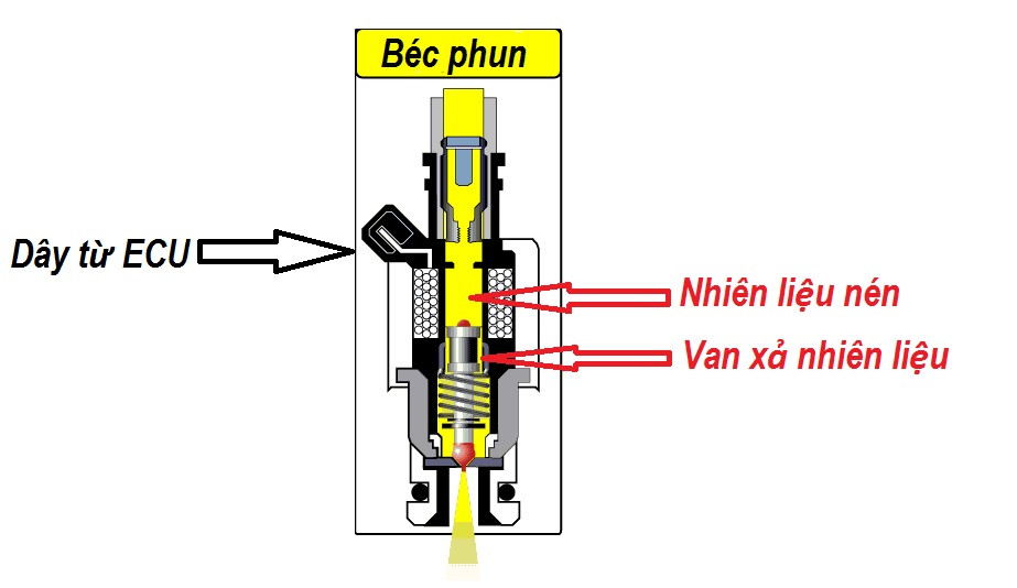 ECM điều khiển hệ thống phun xăng điện tử