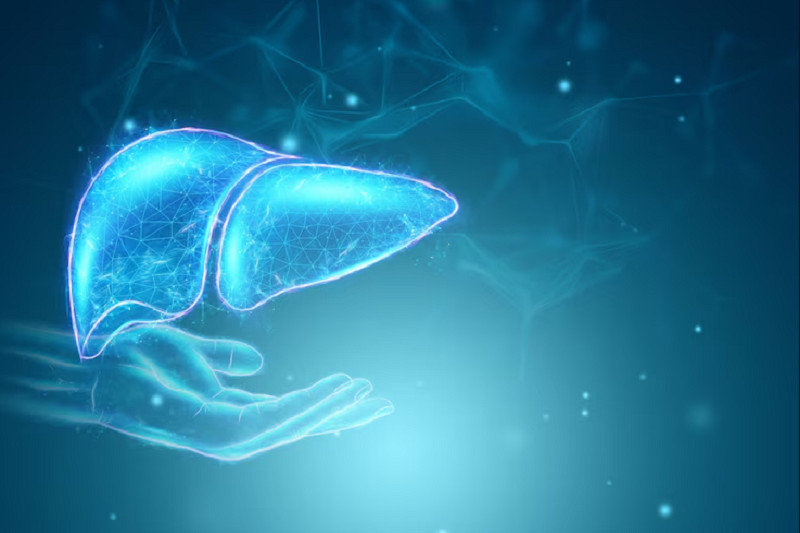 SGPT là enzyme quan trọng giúp ổn định chức năng gan