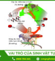 Cây xanh là nguồn cung cấp thức ăn chính cho nhiều loài động vật ăn cỏ, đảm bảo sự tồn tại và phát triển của chúng