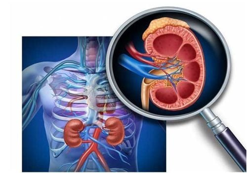 Rau củ quả tươi ngon, chất lượng cao là yếu tố quan trọng để tạo nên một món ăn ngon.