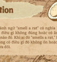 Người phụ nữ nghi ngờ thức ăn
